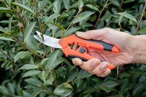 ͂݁@J[un@̏i͒`OXւŔv܂Bop