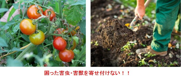 ムカデ ナメクジ イノシシ カラス ヒトデ浪漫 害獣 害虫 対策 忌避剤 以上節約 イノシシ