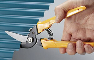 hCcXjbvXvXi{j̏i͗XւŔ̂ߓws