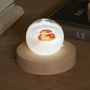 ストームグラスLEDライト ドーム{送料無料}