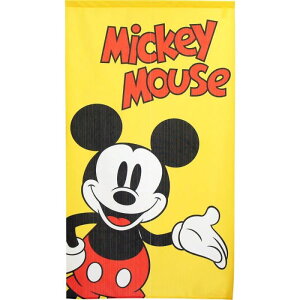 Disney@~bL[̂iBIG@MICKEYj