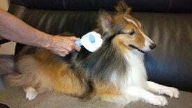 ペット用　ワンタッチブラシ｛超特価｝