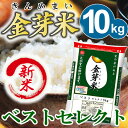 【新米】金芽米 ベストセレクト10kg【5kg×2袋・送料込】【30年産】※無洗米・免疫ビタミンLPS(リポポリサッカライド)が豊富(きんめまい・お米)【ギフト...