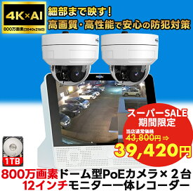 防犯カメラ 4K 高画質 800万画素 屋外 野外 家庭用 有線 poe 2台 セット AI 動体検知 防犯カメラ屋外 防犯 カメラ 電源不要 家庭用工事不要 家庭用電源なし 防犯カメラセット 監視カメラ wifi不要 屋内 常時 録画 高画質 【返金保証】【RE】 [XY-JP-PK-12V-2HC908-1T]