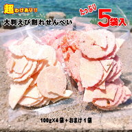 大判 割れせん 5袋セット100g×5袋 老舗 えびせんべい せんべい えびせん 煎餅 おせんべい われせん 訳あ…
