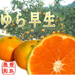【送料無料】極早生みかん ゆら早生3kg5kg静岡みかんミカン農園直送小玉