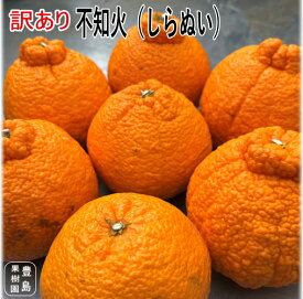 【送料無料】【訳あり】【B】不知火(しらぬい)4.5kgみかん静岡産デコポン農園農家直送