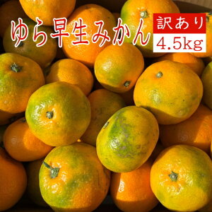 yzy󂠂z瑁݂4.5kgÉ݂~J_ʖ󂠂召