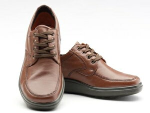 AN Y C { JWA Ch RtH[g EH[LO V[Y R hL 3E y AR1102 uE