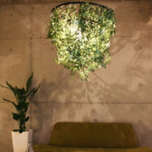 y|Cg10{zyݗ65Nӊz Ɩ k led VƖ m y_gCg tHXg  R Cg CeA Ɩ  Ɩ Y e DI CRASSE Mini Foresti fBNbZ 