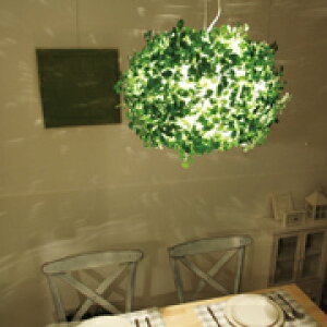 y|Cg10{zyݗ65Nӊz Ɩ led CeA k  VƖ m y_gCg Ɩ  R t e  rO ؘR fUC DI CRASSE Orlamd Big