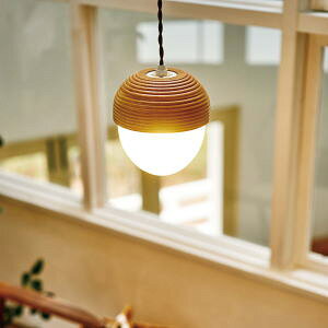 y|Cg10{zyݗ65Nӊz ǂ񂮂 y_gCg |[ _CjOp Hp rOp ԗp k LED q N[[bg C^[tH Ɩ CeA C