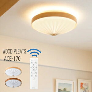 y|Cg10{zLEDV[OCg@WOOD PLEATS Ebhv[c Ɩ@V[OCg R 6 8  k R rO _C񃓃O SWAN X@ACE-170