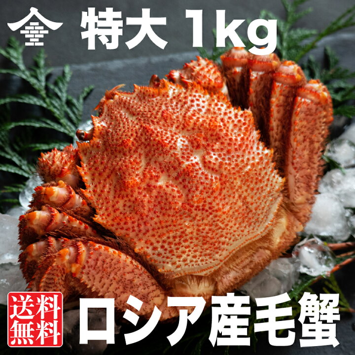 楽天市場 特大 毛蟹 1kg前後 1尾 カニ 毛ガニ 1kg ロシア産 焼き蟹 お鍋 送料無料 姿 お歳暮 ギフト 海鮮 内祝 けがに 年内配送 ボイル 豊洲マルシェ