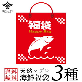 【合計1.5kg】天然マグロ 海鮮 福袋 豪華3種セット 大容量 業務用 500g3パック まぐろたたき まぐろ 赤身 熟成 刺身 お取り寄せ ギフト マグロ 冷凍 鉄火丼