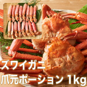 HYCKj܉|[V1kg 30~40{ Jj  Nz Jj Jj|[V ɂ݂  Jj Zbg Mtg  Ε {C Jj Jjhgp 킢