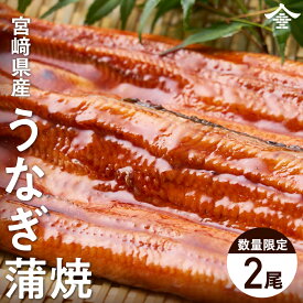 うなぎ 蒲焼 国産 宮崎県産 タレ山椒付き 120g 2尾 鰻 冷凍便 土用丑の日 誕生日 お中元 お礼 内祝 父の日 ギフト 詰め合わせ 食べ物 鰻 蒲焼 夏バテ 防止 対策 送料込み