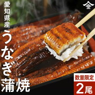 特大!!200g/1尾 うなぎ 蒲焼 国産 愛知県産 2尾セット 鰻 冷凍便 土用丑の日 誕生日 お中元 お礼 内祝 父…