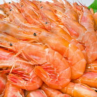 送料無料 赤海老 4kg 特大L2 40〜60尾 業務用 2kg×2箱 4kg お刺身用赤えび ぼたん海老を超える希少な超…