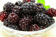 冷凍ブラックベリー 1kg 500g×2パック 弾けるブラックベリーをたっぷりと ブラックベリー 冷凍ブラック…