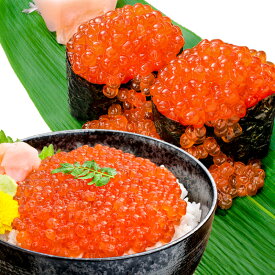 楽天市場 いくら醤油漬け 賞味期限 その他 イクラ 筋子 魚卵 魚介類 水産加工品 食品の通販 楽天市場 いくら醤油漬け 賞味期限 その他 イクラ 筋子 魚卵 魚介類 水産加工品 食品の通販
