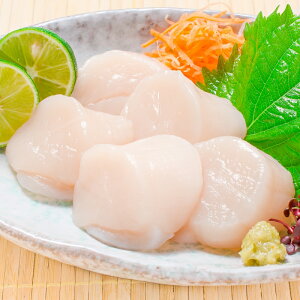 z^e قĊL hgp嗱ق 1kg ȂKi 36`40 Y̐قĂuԗⓀ ق z^e  L L o^[Ă tC Ɩp i hg LFs  Pi