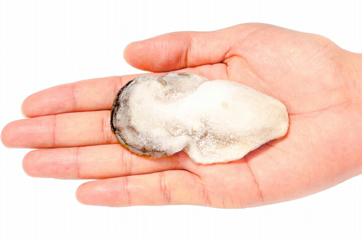 楽天市場】生牡蠣 生食用カキ 生牡蠣 1kg 冷凍時1kg 解凍後850g 冷凍むき身牡蠣 生食用 新製法で冷凍なのに生食可能!濃厚な風味の生牡蠣 冷凍 生ガキ かき カキ 牡蛎 バーベキュー 牡蠣鍋 カキフライ 牡蠣フライ ギフト : 豊洲まぐろ問屋 楽天市場】生牡蠣 生食用カキ 生牡蠣 1kg 冷凍時1kg 解凍後850g 冷凍むき身牡蠣 生食用 新製法で冷凍なのに生食可能!濃厚な風味の生牡蠣 冷凍 生ガキ かき カキ 牡蛎 バーベキュー 牡蠣鍋 カキフライ 牡蠣フライ ギフト : 豊洲まぐろ問屋