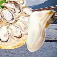 送料無料 生牡蠣 1kg 生食用カキ 冷凍時1kg 解凍後850g 冷凍むき身牡蠣 生食用 新製法で冷凍なのに生食可…