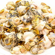 送料無料 ボイルつぶ貝 ツブ貝 Lサイズ 1kg たっぷり食べるならかなりお得 つぶ ツブ つぶ貝 ボイルツブ…