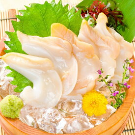 送料無料 真つぶ貝 生食用ツブ貝 1kg 殻むき生冷凍のお刺身用 たっぷり食べるならかなりお得 つぶ ツブ つぶ貝 ツブ貝 バイ貝 ばい貝 刺身 寿司 豊洲市場