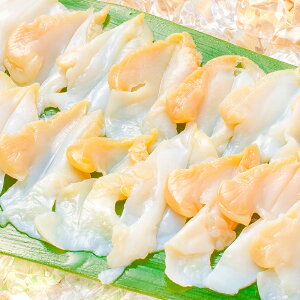 ԊL XCX il^ Ɩp 20 STCY hgp ipcuLJ iɂĂ܂ ̎|܂ɍŏ㋉  cuL ԊL L L il^ CN LFs Mt