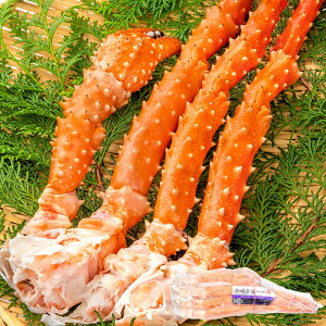  ^oKj S[fLONu ^oKjɂȂ| CoKj 5LTCY Ⓚd 1kgO ×1 Ki {CⓀ  ZNV  Jj I VN 