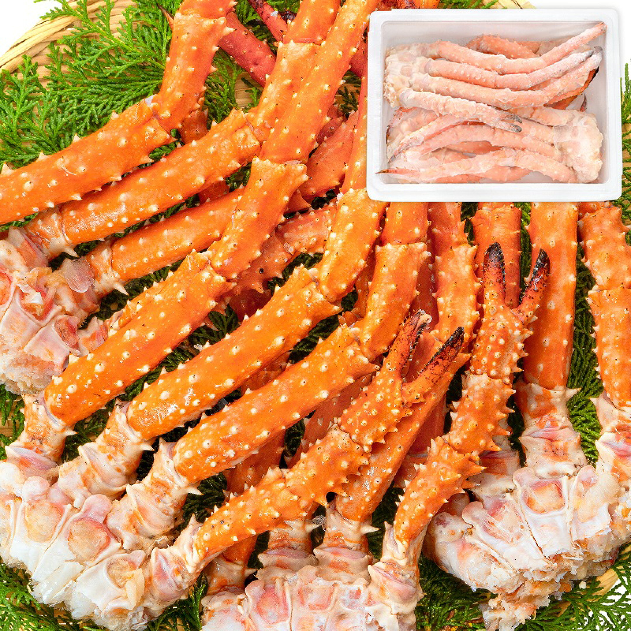 ゴールデンキングクラブ