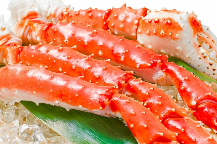 楽天市場】送料無料 タラバガニ たらばがに 1kg 極太5Lサイズ 冷凍総重量1kg前後×1肩 正規品 ボイル冷凍 足 肩セクション シュリンク包装 タラバ かに カニ 蟹 たらば蟹 タラバ蟹 カニ鍋 焼きガニ 脚 豊洲市場 おせち 単品おせち ギフト : 豊洲まぐろ問屋 楽天市場】送料無料 タラバガニ たらばがに 1kg 極太5Lサイズ 冷凍総重量1kg前後×1肩 正規品 ボイル冷凍 足 肩セクション シュリンク包装 タラバ かに カニ 蟹 たらば蟹 タラバ蟹 カニ鍋 焼きガニ 脚 豊洲市場 おせち 単品おせち ギフト : 豊洲まぐろ問屋