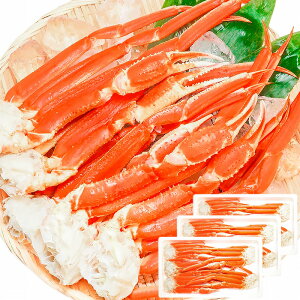  YCKj×3 3LTCY 6kg {YCKj15O 𓀂邾OK {CⓀYCKZNV YCKj 킢  Jj I 킢I LF ɓ ĂKj LFs