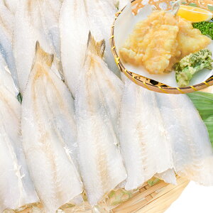  LXJ20 550g Jς݂œVՂɂg܂  LXJ LX LXV V LX̂ĂՂ VՂ Vn Vw V Ɩp zns LFs Mtg