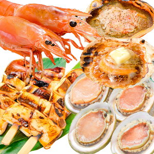  CNlĂ 5Zbg ѓ CNo[xL[Zbg Lv \Lv BBQ kCYق10 ɂ݂b2 ₶10{ ԊCVL1TCY2kg 12 