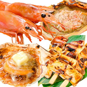  CNlĂ 4Zbg CNo[xL[Zbg Lv \Lv BBQ kCYق10 ɂ݂b2 ₶10{ ԊCV20 BBQZbg CN񂹓 Zbg 