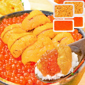 豊洲市場のウニイクラ丼セット 4杯分 無添加生ウニ200g＆いくら醤油漬け200g 海鮮丼で約4杯分 うに ウニ いくら イクラ うにいくら丼 海鮮丼 手巻き寿司 寿司ネタ 刺身 福袋 豊洲市場 おせち ギフト 【FSJ】