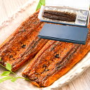 国産うなぎ蒲焼き ギフト箱 2箱 平均140g前後×4尾入り 柔らかうなぎを丁寧に焼き上げた国産の最高級品質 デパ地下にも卸す逸品 土用の丑 うなぎ ウナギ 鰻 うな丼 うな重 ひつまぶし ギフト 築地市場 豊洲市場