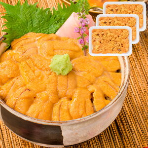   Ⓚ Y 100g×3pbN ōAO[h ɘ6t̂TCY Ej Ej hg ɃpX^ ɃXpQbeB ɌR  CN 芪i i˂