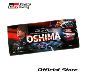 SUPER FORMULA FINAL SEASON i哈 aj^I TGR Collection ObY