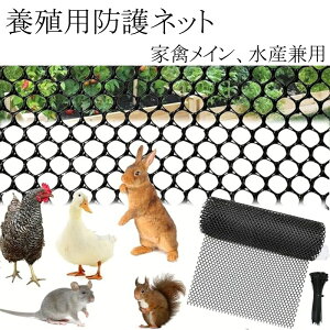 vX`bN{Blbg  bVlbg {{lbg rtFX hlbg |tFX pr Jbg\ y ϋvQ ʋCǍD TCYWJ 8mmbVTCY