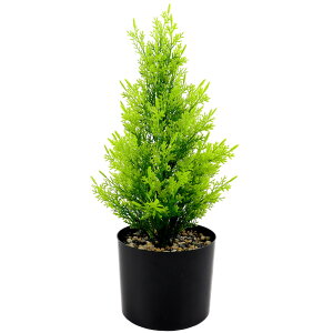 NX}X ~jc[  lHϗtA tFCNO[ ~ CeA u ~jAؔ O[AWg lt  NX}X k fXN  decor  