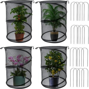 4Zbg |bvAbvAJo[ Aeg eg (48cm x 36cm) 悯 bVAveN^[ ubNbV K[fAveN^[ ~j Op̏^ 