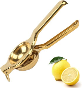 i iW[T[ Cio[c[ iXeX 蓮W[T[ t[c eʃvX |Ot ƒp ֗Lb`c[ W[X