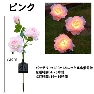 y2025NVzLED\[[[YK[fCg hOp \[[[d t[Cg 뉀EŐEԒdE֑p