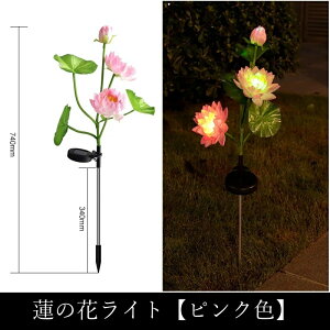 2�{�Z�b�g �\�[���[ �@�̉� ���C�g �K�[�f�����C�g ���O �h�� LED �뉀 �C���~�l�[�V���� �n�ʍ������ݎ� ���ԃ��`�[�t �i�ϏƖ� �G�N�X�e���A �����p �� ���� �A�v���[�` �Ԓd �Ő� �x�����_ 