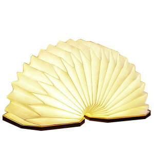 ubNCg xbhTChv LED Cg xbhCg iCgCg Ebh y 3_[h ڂɗD ܂肽 ؐ | ȃGl usb[d ԐڏƖ ドCg ドv T