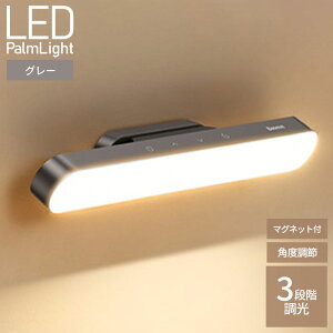 yzUSB[d}Olbgx[XtLEDCg O[ڂɗD 邢  wK  F X^hCg ドCg Ǐ LED xbhTCh X^h fXNX^h d